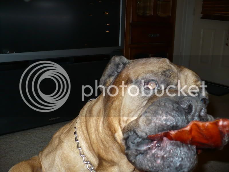 Picture002.jpg