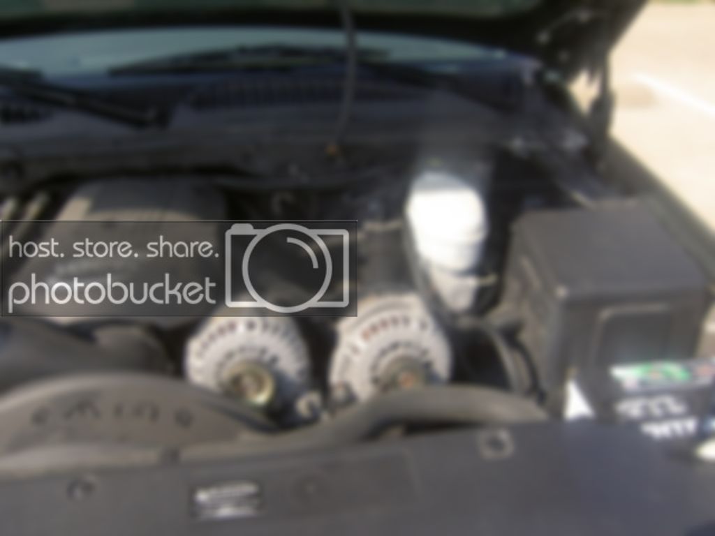 PICT0132.jpg