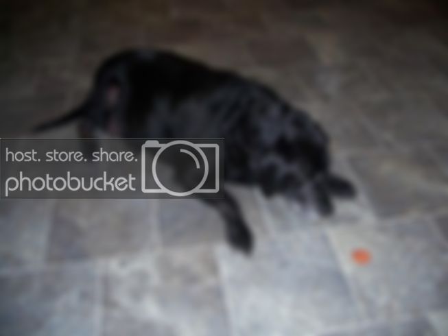 100_0113.jpg