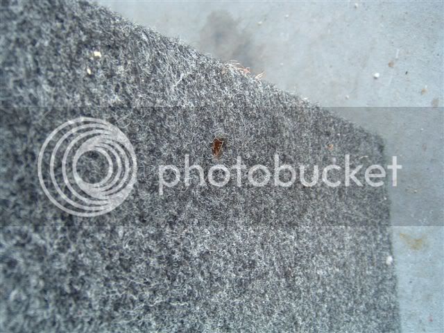 DSCF0057.jpg