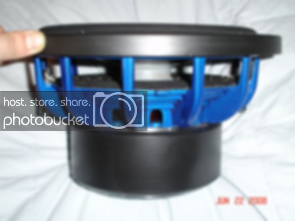 AlexisCaraudio037.jpg