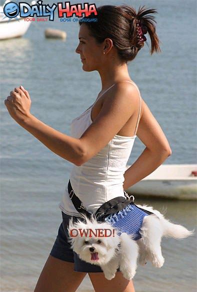 doggy_running_pouch.jpg