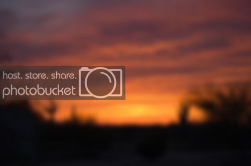 desert_sunset.jpg