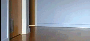 c5YFU.gif