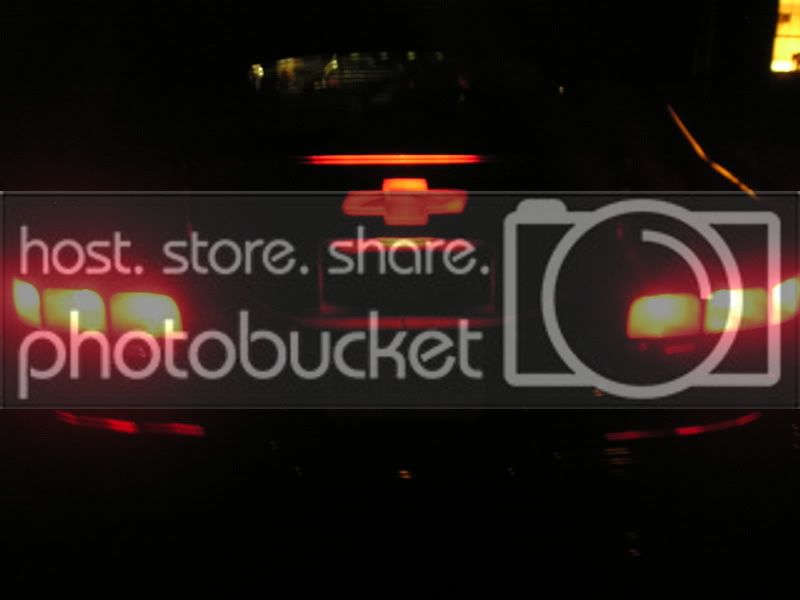 neon4.jpg