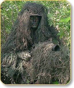 woodland.jpg