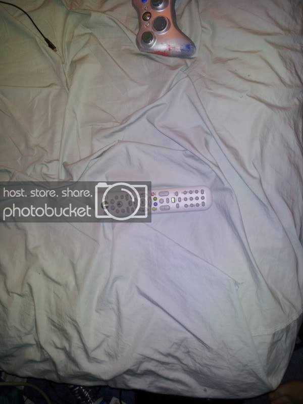 2011-07-17215612.jpg