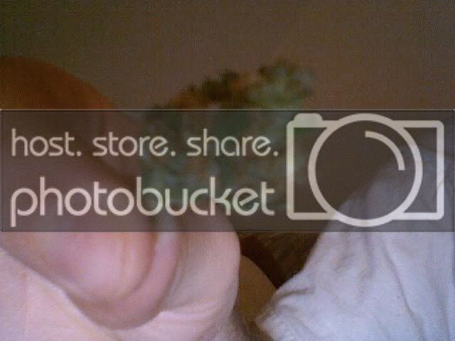 Photo80.jpg