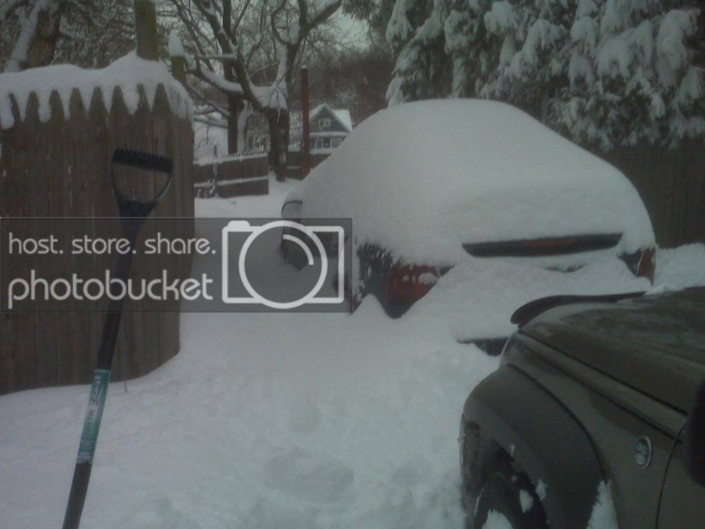 IMG00188.jpg