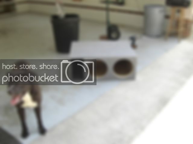 CIMG0093.jpg