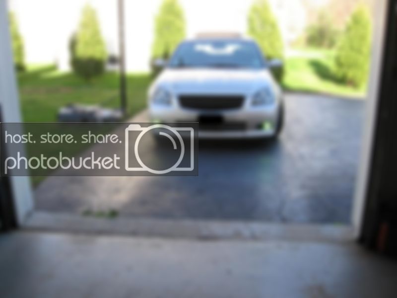 BlackGrillFogs014.jpg