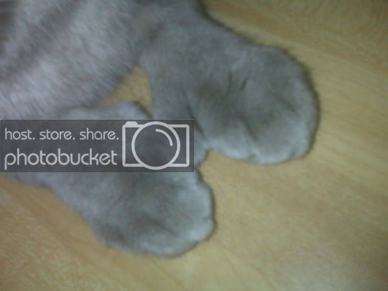 thumbs1.jpg