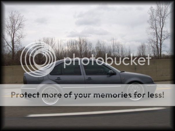mike_jetta.jpg