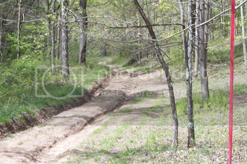 trail1.jpg