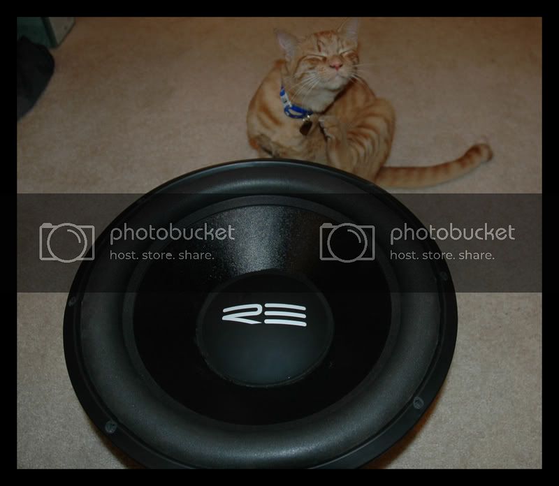 pwntcat3border.jpg