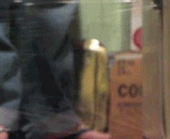 tumblr_lrznz9X4s31qzrlhgo5_250.gif