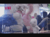 hahawtf_100.gif
