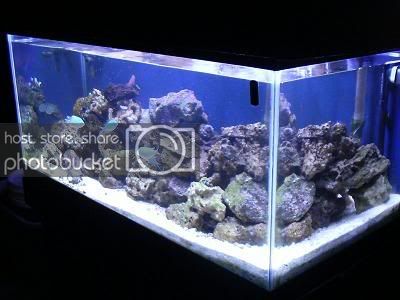 Full_Tank_4.jpg