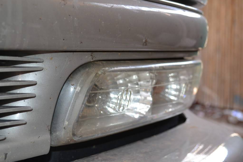 DSC_0303.jpg