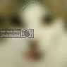 1274322680797.gif