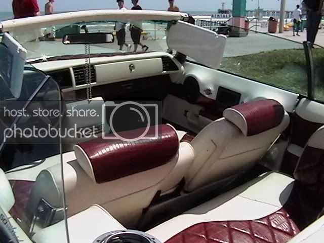 SBN2008156.jpg