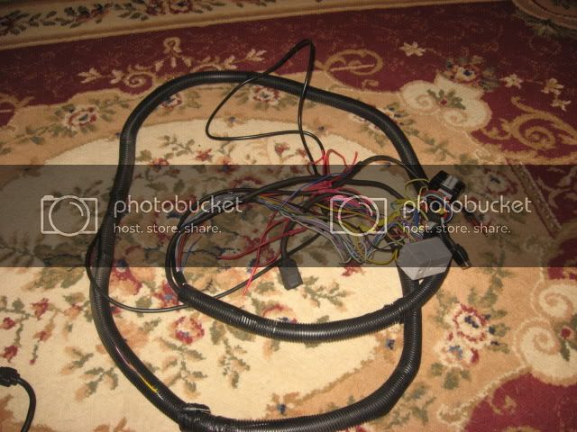 Picture024.jpg