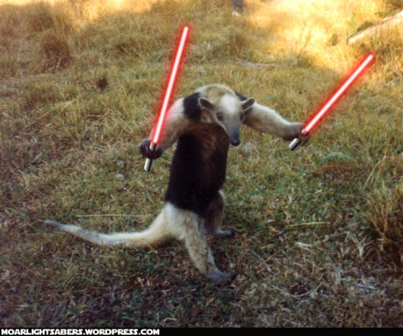 anteater.jpg