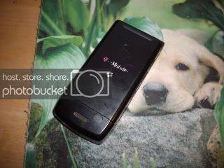 w490003.jpg