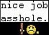 nice_job_ahole.jpg