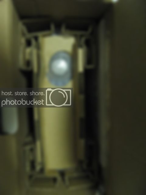 9887003.jpg