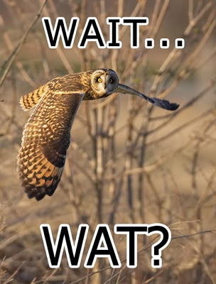 wait+wat.jpg