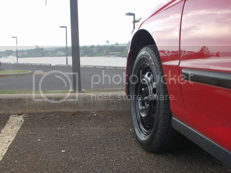 IMGP1294.jpg