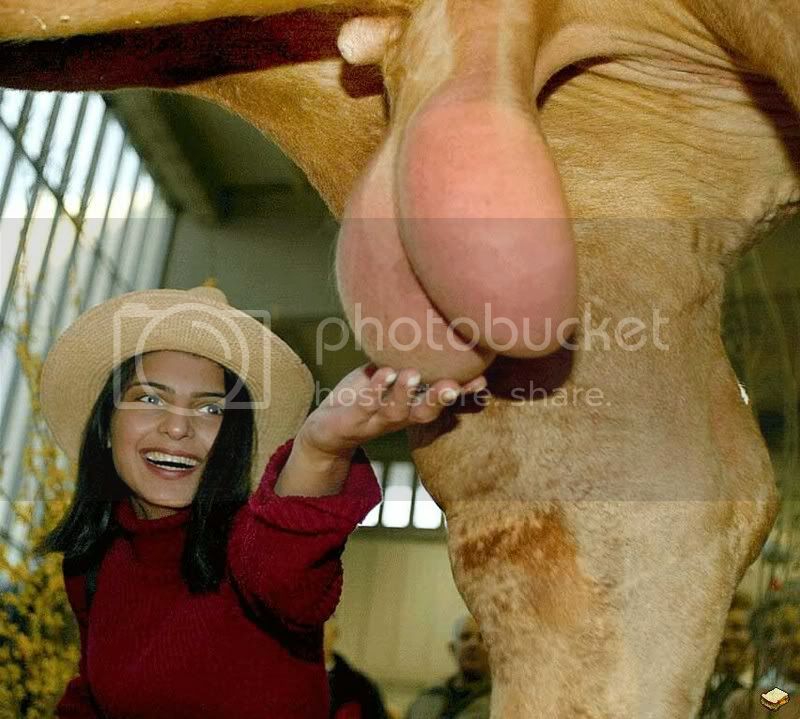 camel_balls.jpg