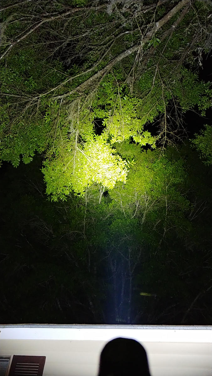 20210402-221146.jpg
