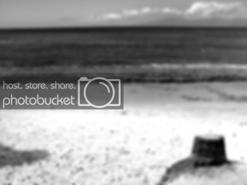 desktopbw-1.jpg