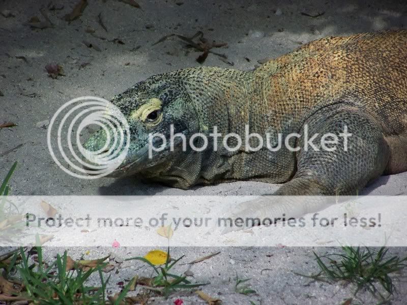 Zoo042.jpg