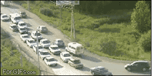 MFoF9.gif