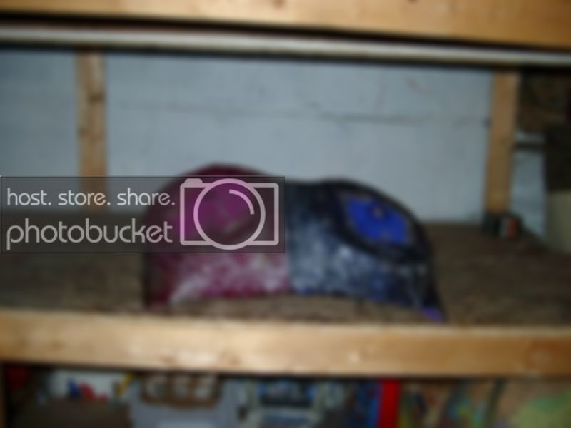 IMGP5106.jpg
