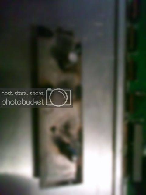 img0381.jpg