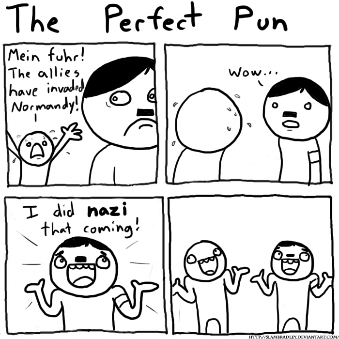 the-perfect-pun.jpg