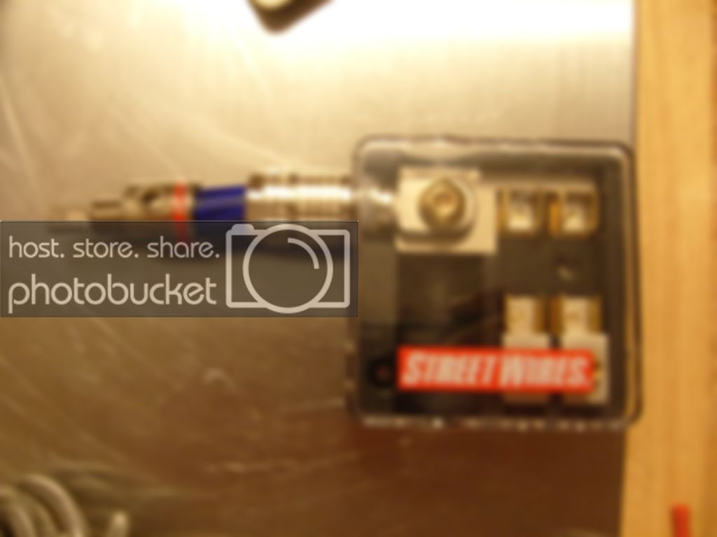 S7300172.jpg