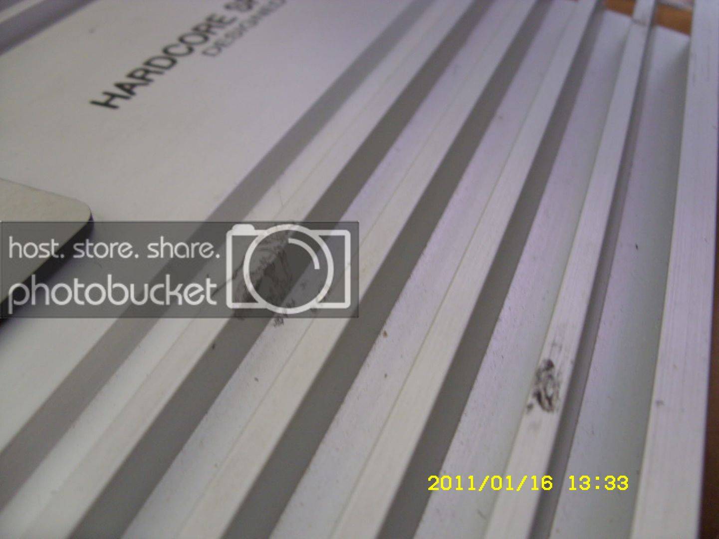 SDC10279.jpg