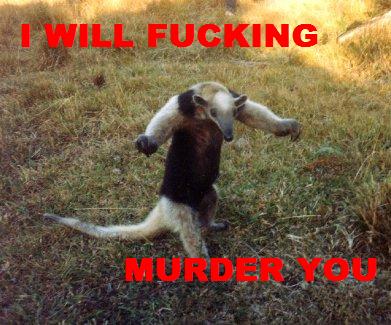 Pugilist%20Anteater--Monteverde%201-94.jpg