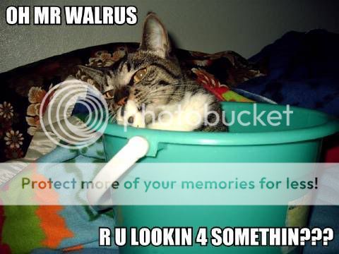 oh-mr-walrus-r-u-lookin-4-somethin.jpg