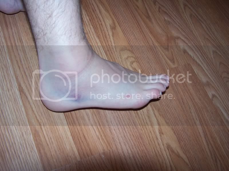 100_3378.jpg