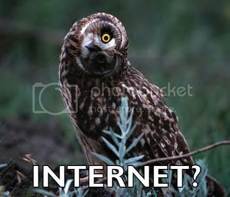 internet.jpg