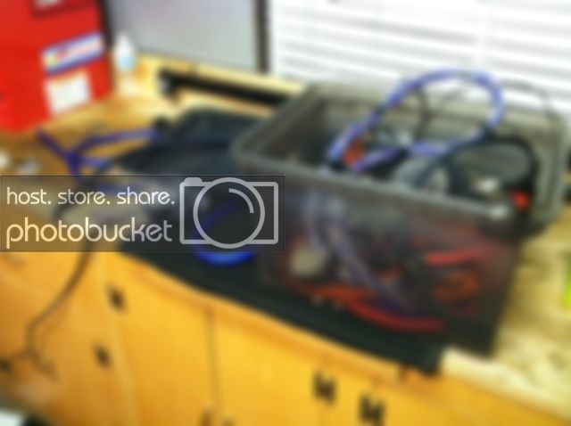 wires.jpg