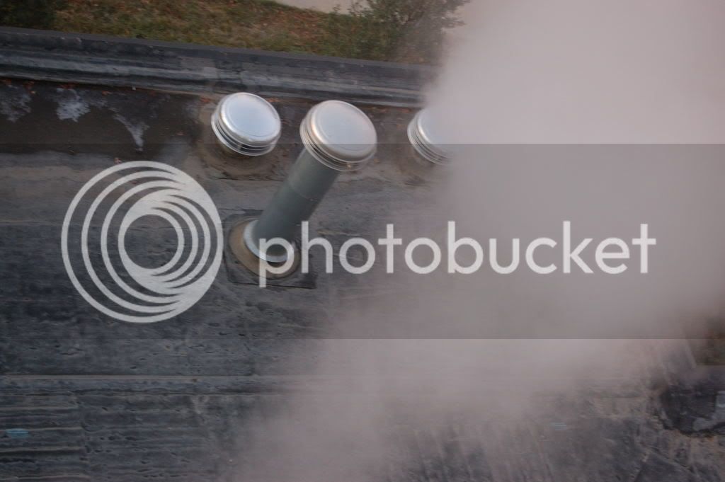 DSC_03690031.jpg
