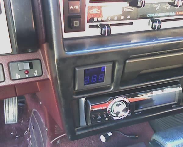 398497.jpg