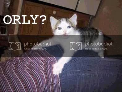 ORLY.jpg